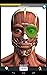 Anatomy Quiz Lite
