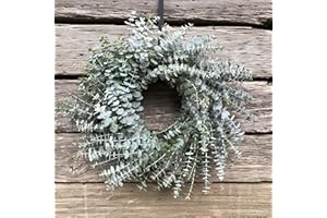 SELF CARE SHOWER Fresh Eucalyptus Wreath Living Leaves 16" [California] Baby Blue Variety [Shipped Overnight] for Front Door Natural Wreath for Indoor Outdoor Farmhouse Festival Home Decor (16 Inch)