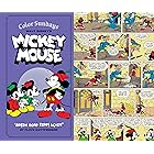 Walt Disney's Mickey Mouse Color Sundays Vol. 2: Robin Hood Rides Again: Volume 2