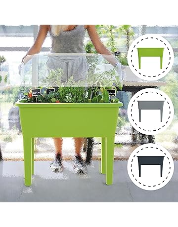 Amazon.es: Kits de germinación: Jardín