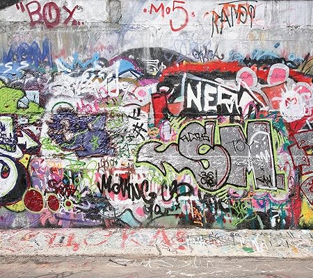 Amazon Com Brewster Phoenix Graffiti Pre Pasted Pared Mural 8