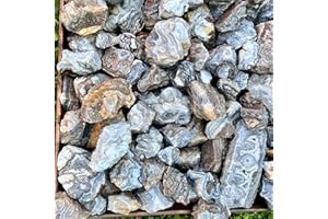 GENERIC Summerville Crazy Lace Agate Rough Natural Raw Banded Colorful Rocks Stones (Large Pieces, 5 Pounds)