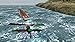 Flight Theory