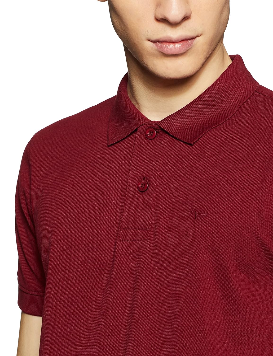 flying machine men's solid regular fit t-shirt