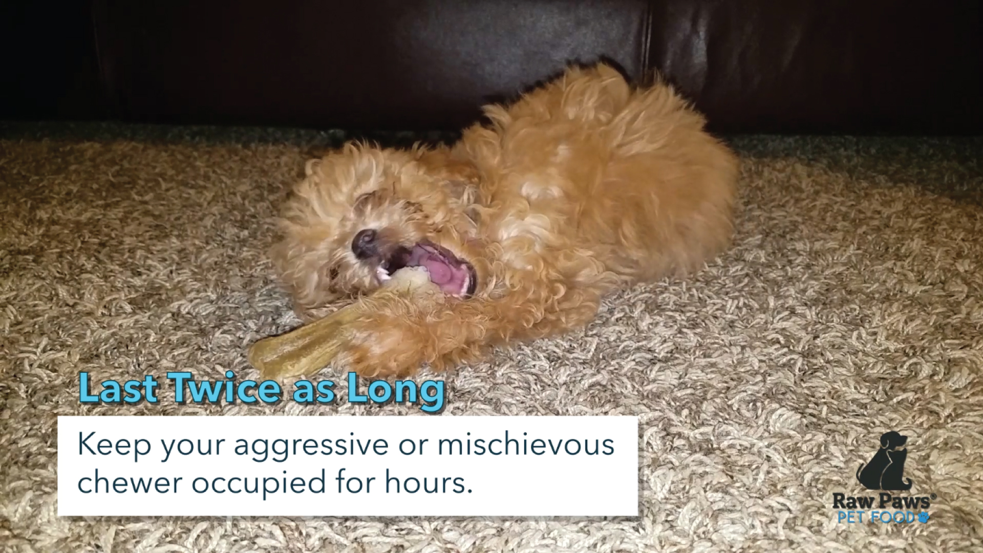 raw paws compressed rawhide