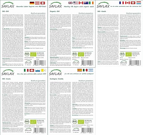 SAFLAX - Ecológico - Eneldo - 700 semillas - Anethum graveolens ...