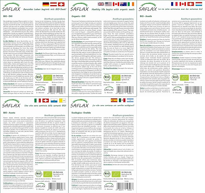 SAFLAX - Ecológico - Eneldo - 700 semillas - Anethum graveolens ...