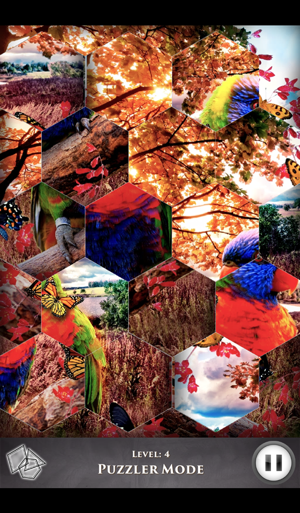 PuzzleSwap - Paradise Arcadia - Thumbnail 3