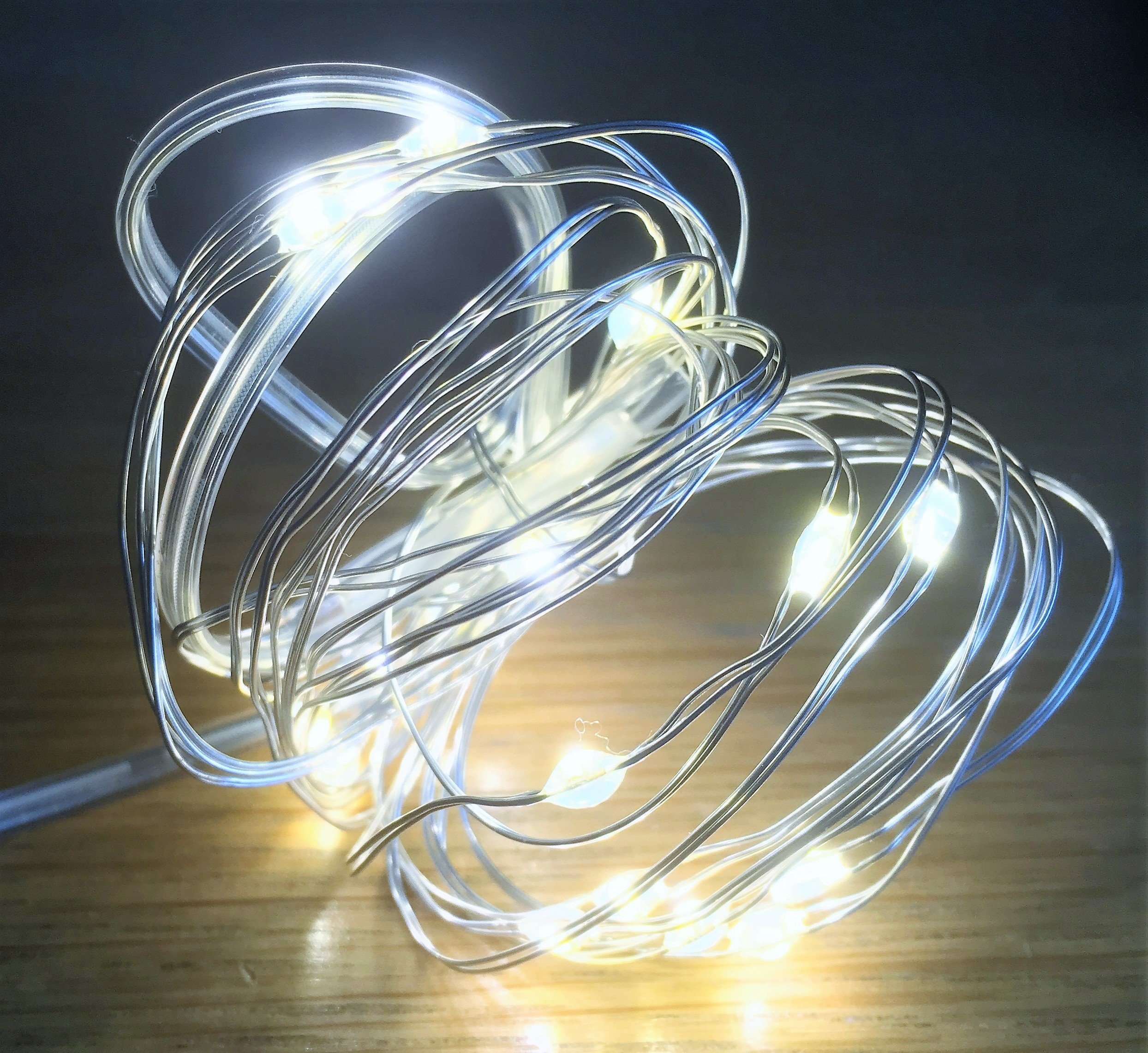Festive Productions 20L LED Naked Silver Wire Lights, Warm White