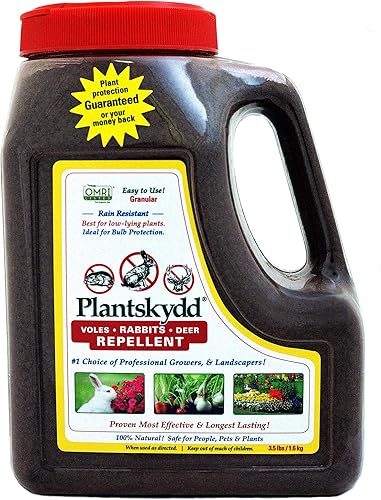 hstcstbl-table__image