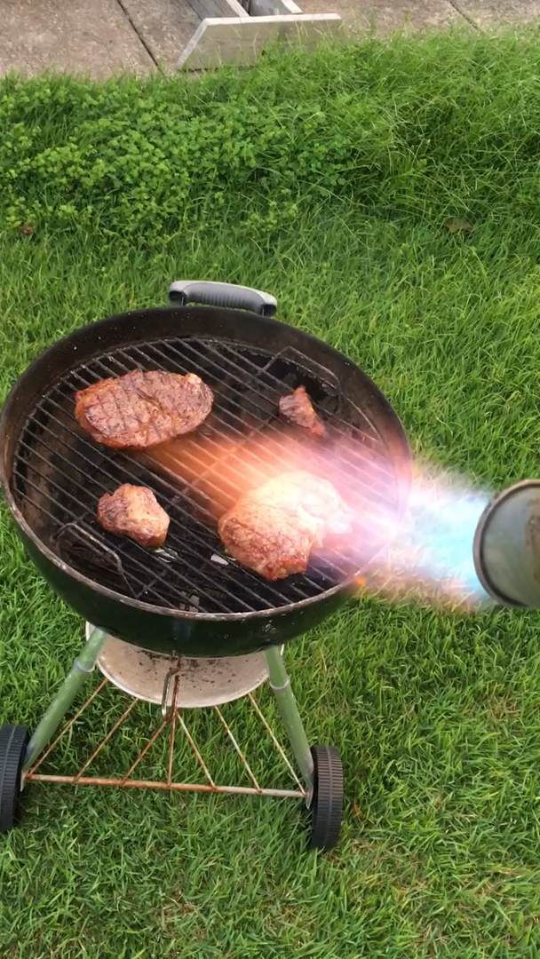 Customer reviews Greenwood 91033 Propane Torch by Greenwood