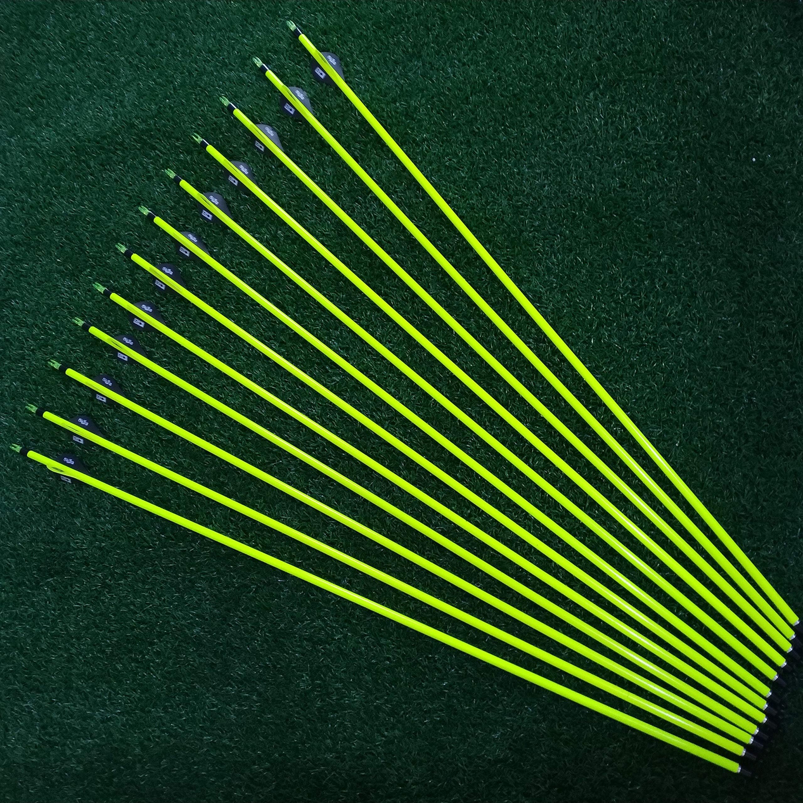 e5e10 31'' Pure Carbon Archery Arrows with Replaceable Points for Recurve and Compound Bow Outdoor Hunting and Target Practice