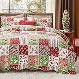 Bedsure Christmas Quilt Set Queen - Red Quilts for