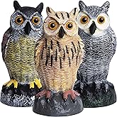 Galashield Owl Decoy | Plastic Fake Owls | Owl Statue for Garden & Outdoors [Set of 3]