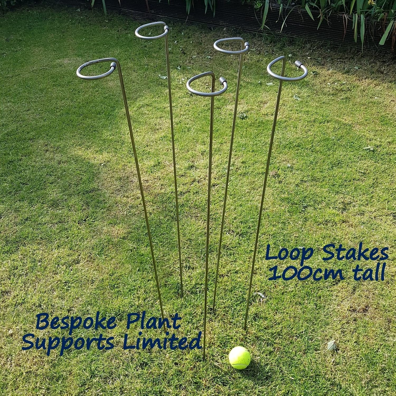 Garden & Outdoors 100cm or 130cm tall Metal Plant Supports Loop Stakes
