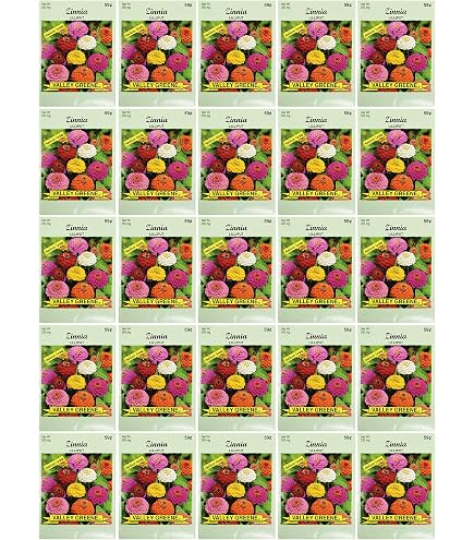 Amazon.com : Set of 100 Flower Seed Packets! Flower Seeds in Bulk (100,  Zinnia Cali Giant) : Patio, Lawn & Garden
