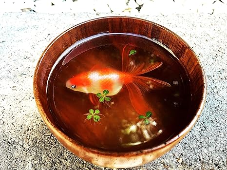 Amazon Co Jp 3d金魚樹脂ペイント レッド ホワイト Looks Like Real魚誕生日 母の日ギフト ホーム キッチン