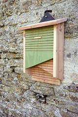 Wildlife World Conservation Bat Box CSVBB - Twin Chamber FSC Timber view 6
