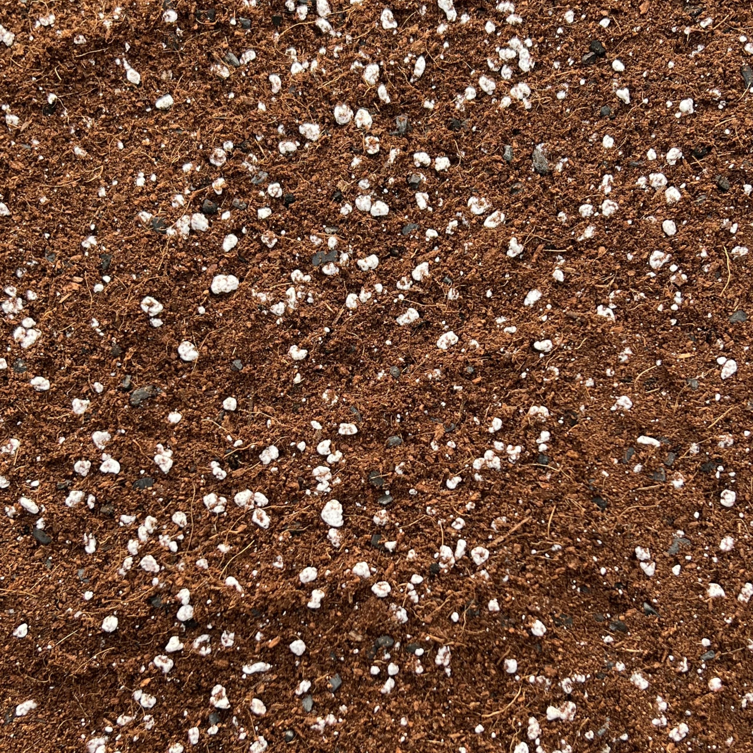 Premium Terrarium Potting Mix with Perlite & Activated Biochar – Nutrient-Rich Soil for Succulents, Moss, Air Plants & Tropicals – Superior Drainage, Root Health (5L)