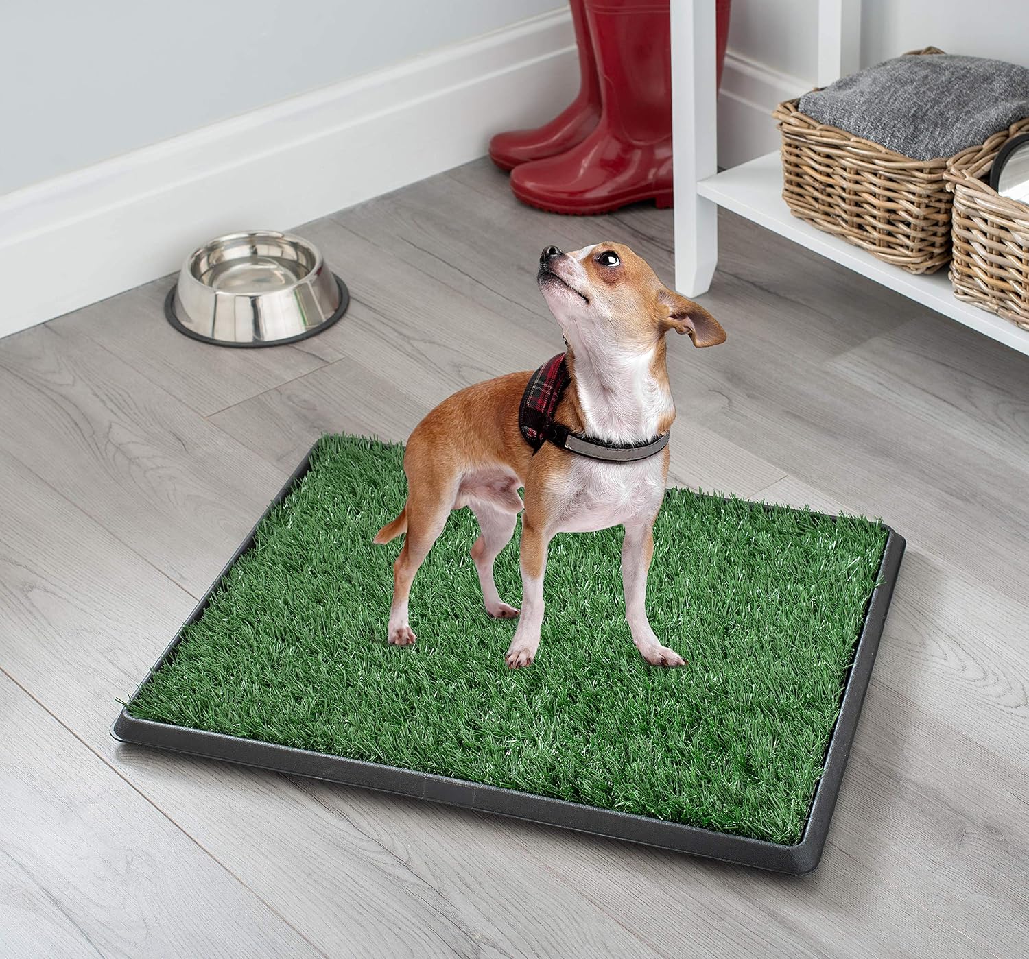 WeRChristmas Pet Potty With Sod, Green, Medium - Image 3
