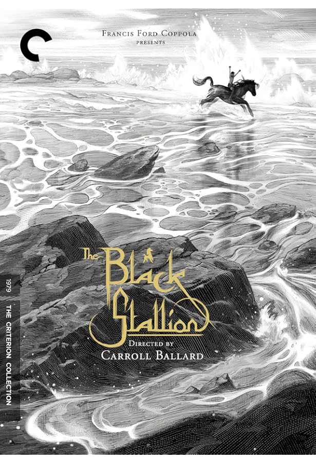 Amazon.com: Black Stallion, The : Movies & TV