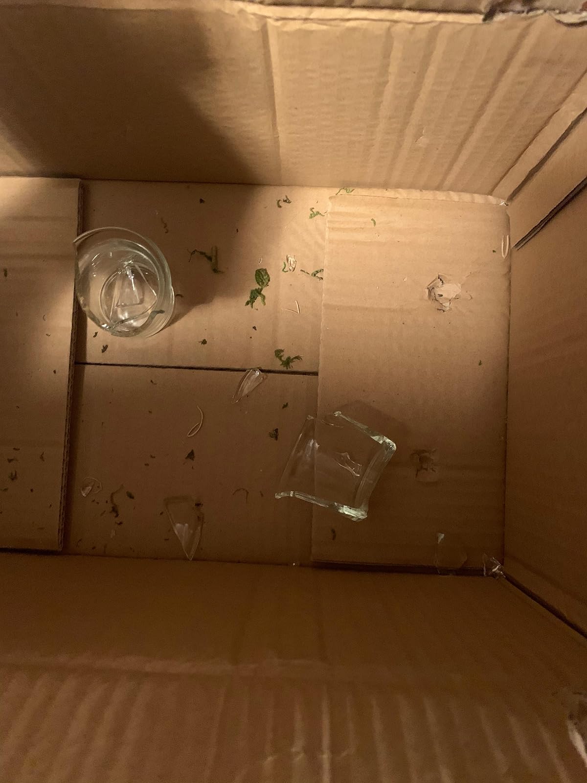 User review photo