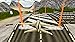 Flight Simulator: Fly Plane 3D