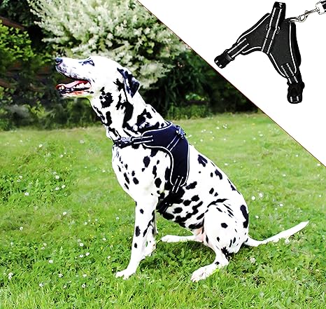 Molosser Hundegeschirr für Kleine Mittelgroße Große Hunde Junghunde, Reflektierend Brustgeschirr Sicherheitsgeschirr Hund aus