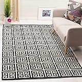 SAFAVIEH Montauk Collection Area Rug - 5' x