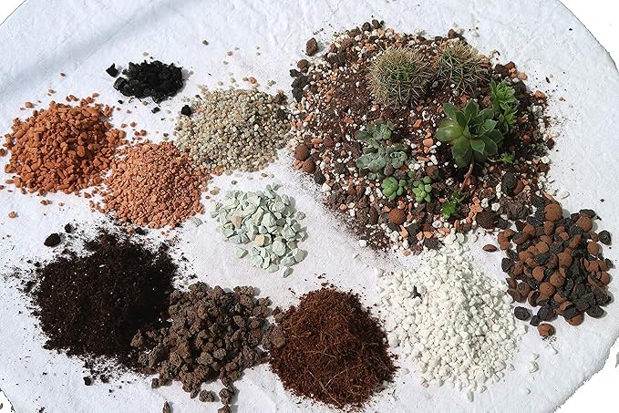 Mineralisch organische Kakteenerde Substrat Gärtner Qualität 5L