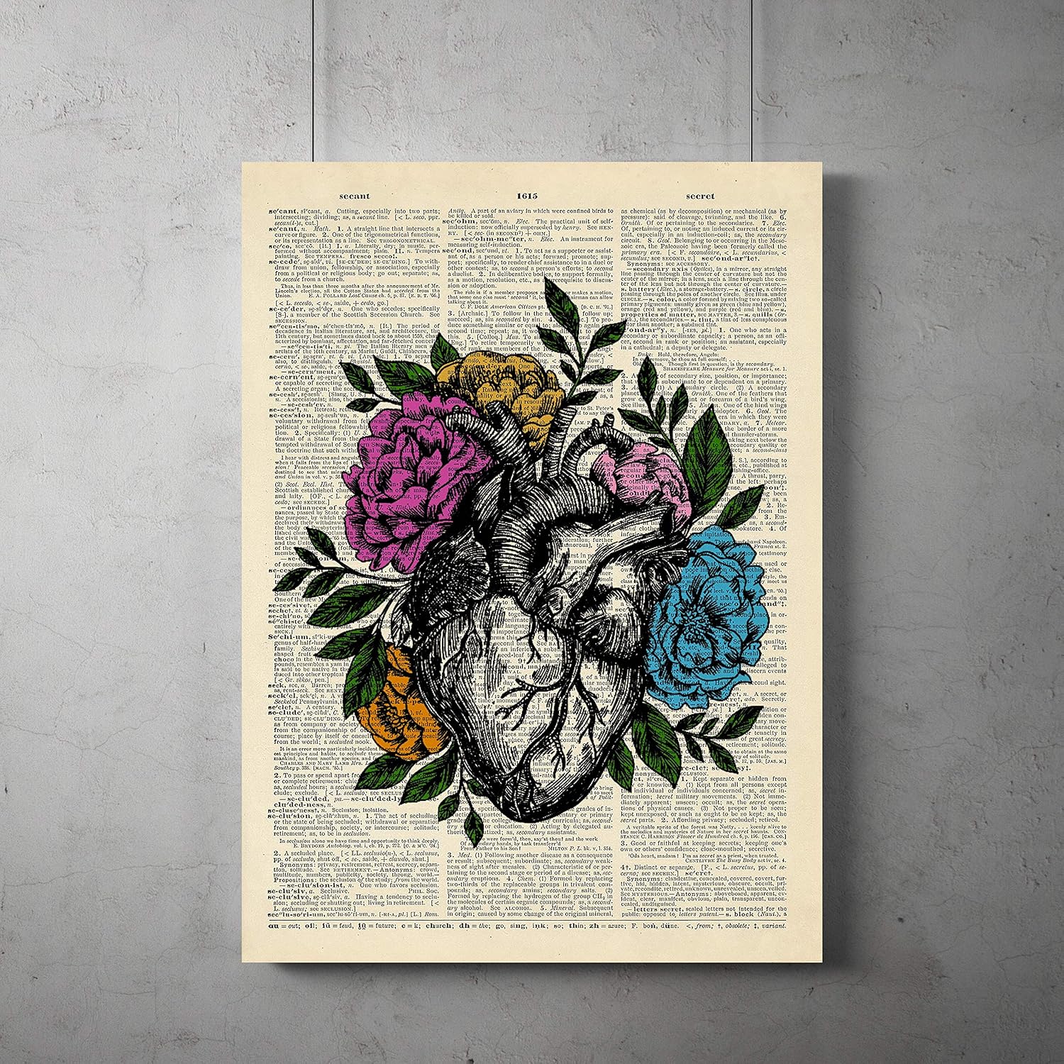 Anatomy Of The Flower - Anatomy Drawing Diagram