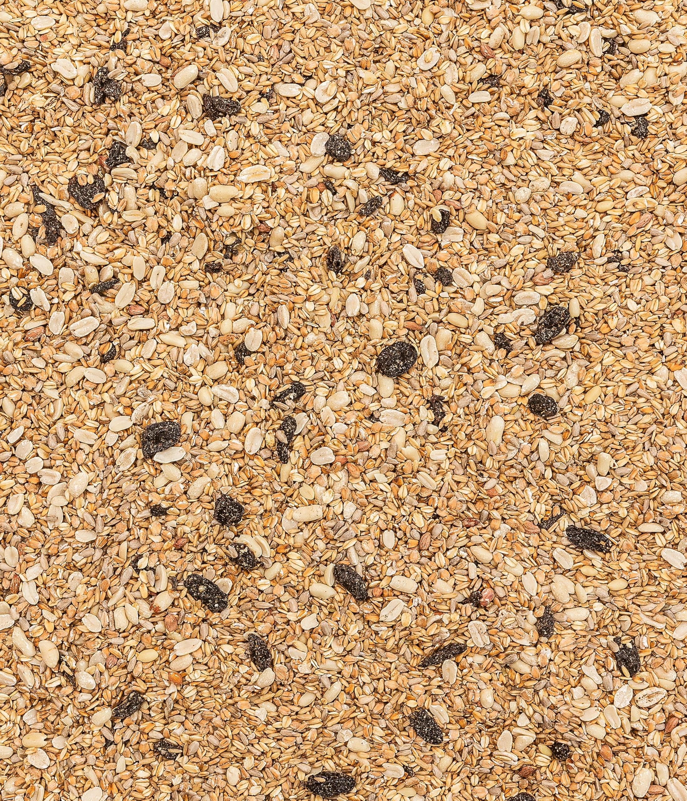 Dehner Natura Premium Wildvogelfutter, Streufutter schalenfrei, Ganzjahresfutter proteinreich / energiereich, hochwertiges Vogelfutter für Wildvögel, 3.6 kg 6