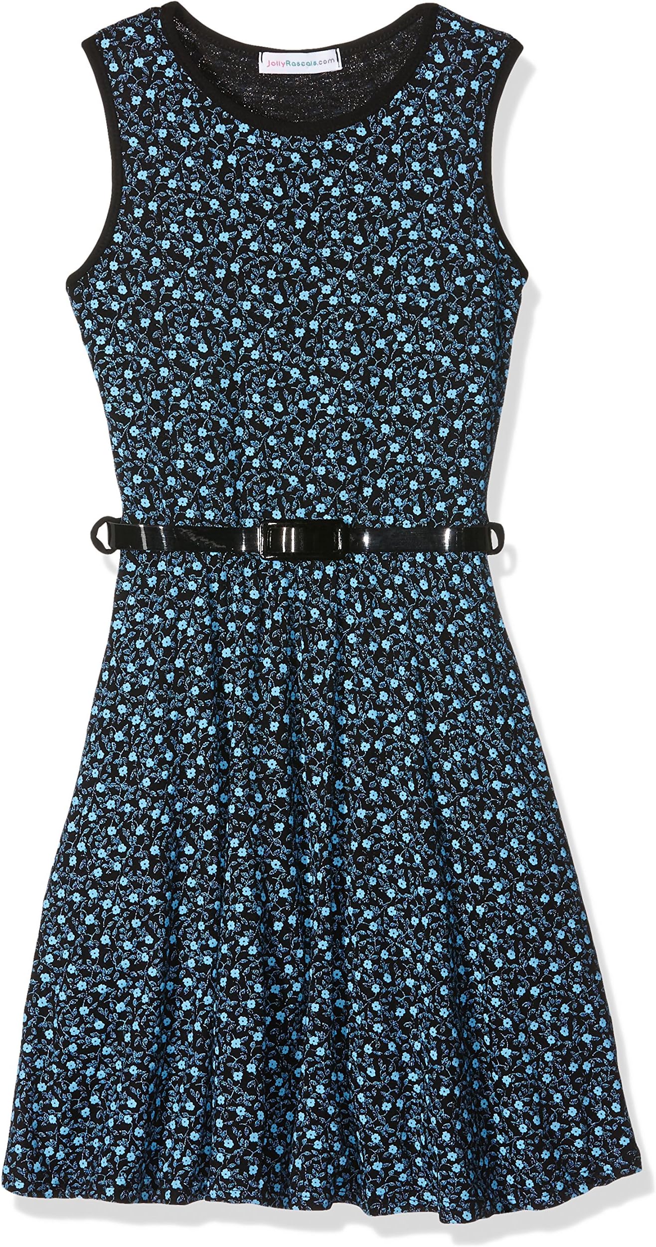 Jolly Rascals Girl's Ditsy Floral Sleeveless Skater Dress
