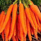 Scott&Co Vegetable Seed Grow Your Own Kit 10 Varieties Garden Gift view 8