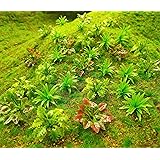 90pcs Mini Model Trees Plants Flowers Green Shrubs Bush Model, Aritificial Plants Model Train Scenery Architecture Flower Mod