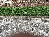 Review Image by T. A.