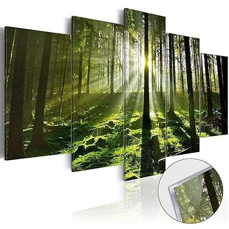 murando - Acrylglasbild Landschaft 200x100 cm - 5 Teilig - Bilder Wandbild - modern - Decoration - Wald c-B-0100-k-m