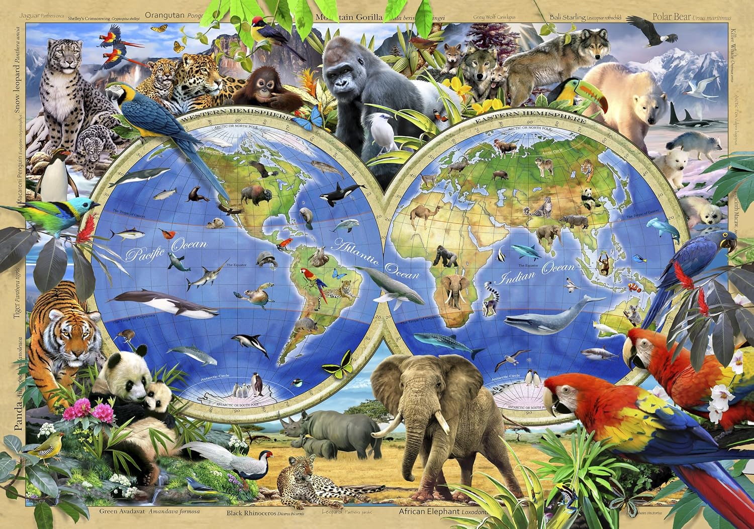 wentworth jigsaws second hand