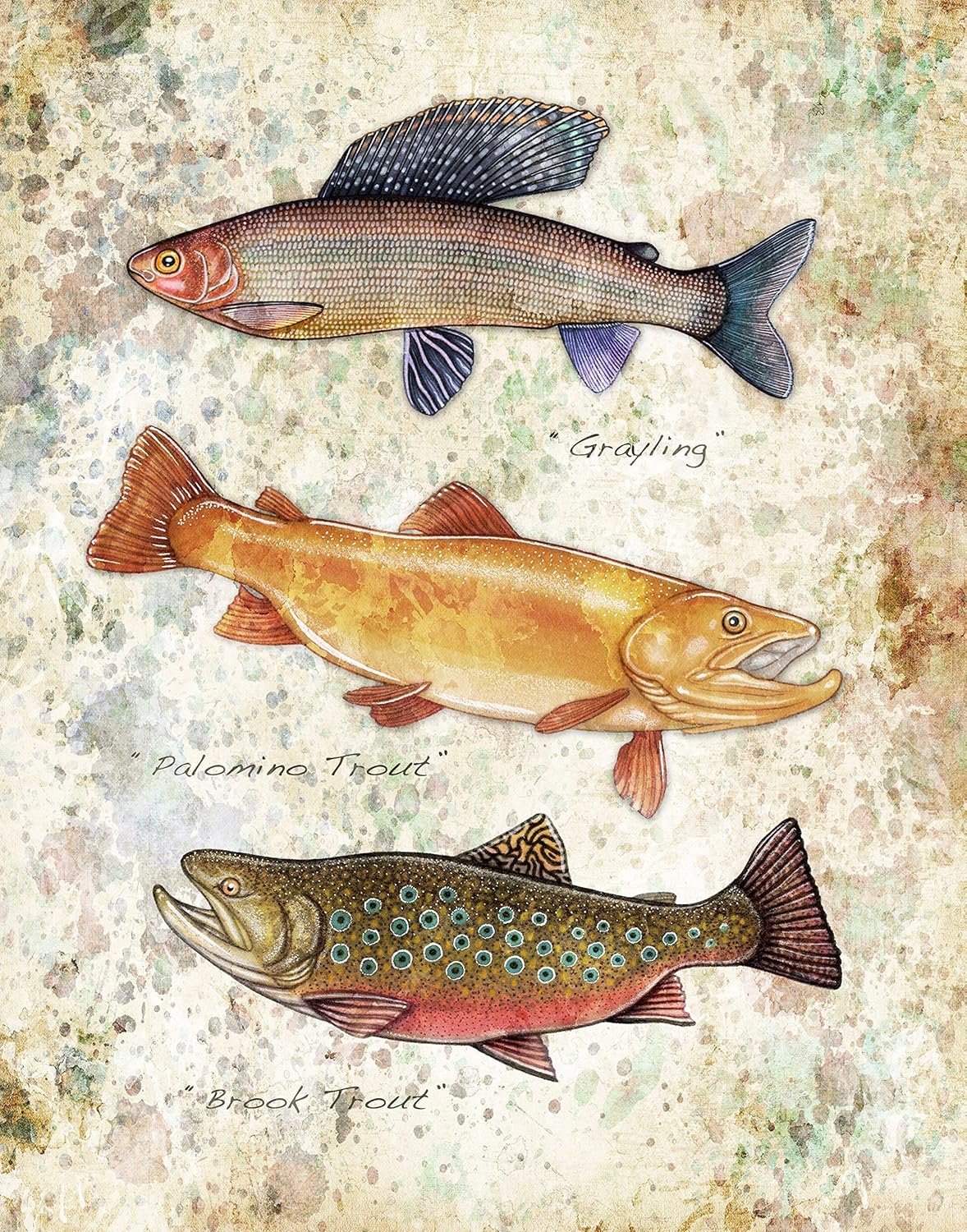 Grayling Contact Take Series Rainbow Trout Brook Trout Art Prints Fly Fishing Art Fly Fishing Artwork Trout Fishing Art Collectibles Digital Prints Tripod Ee