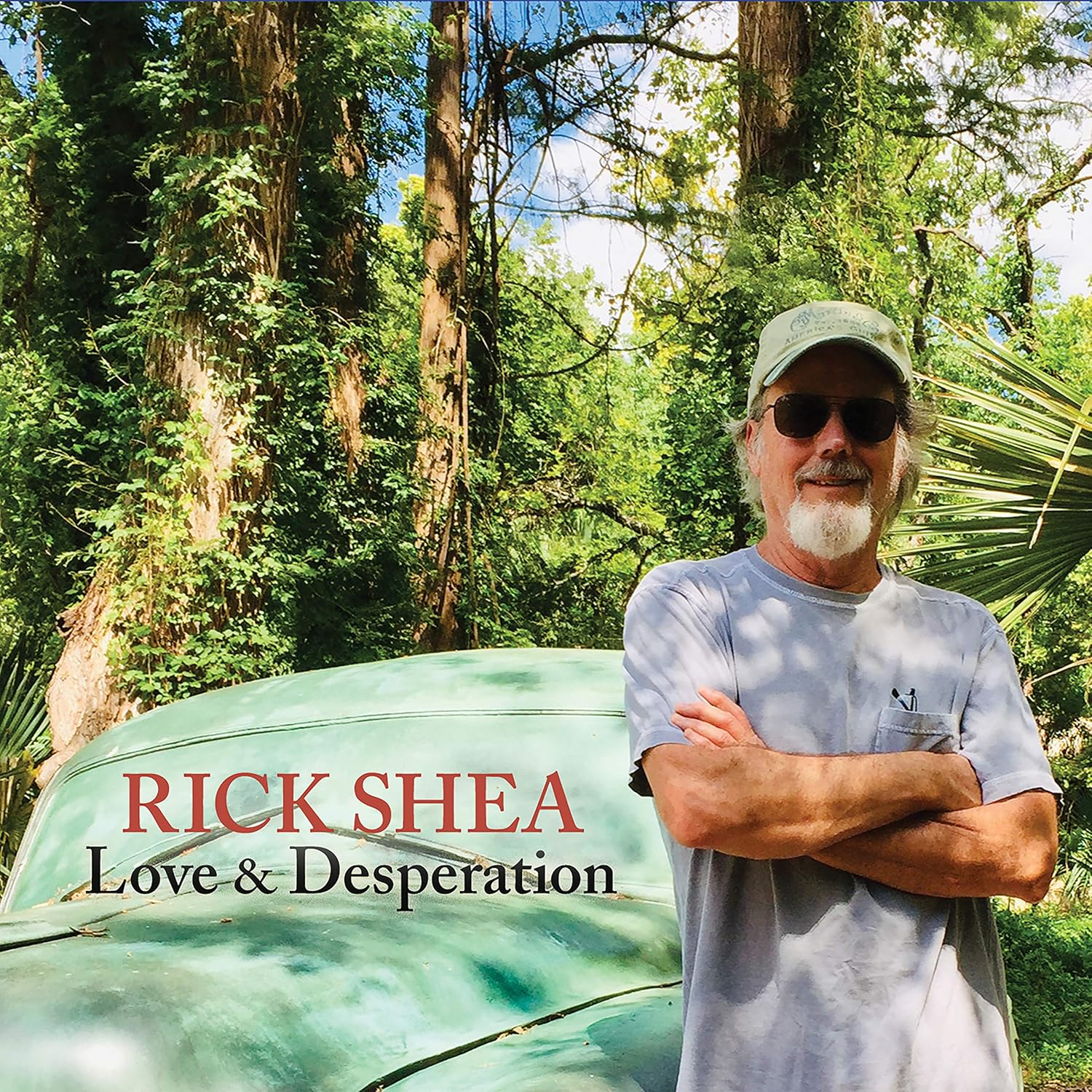 Resultado de imagen de Rick Shea – Love & Desperation
