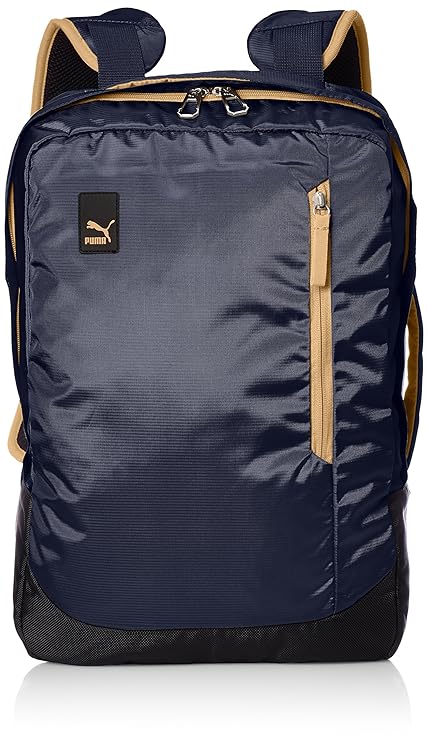 22 Ltrs Peacoat Apple Cinnamon Laptop Backpack (7483402)