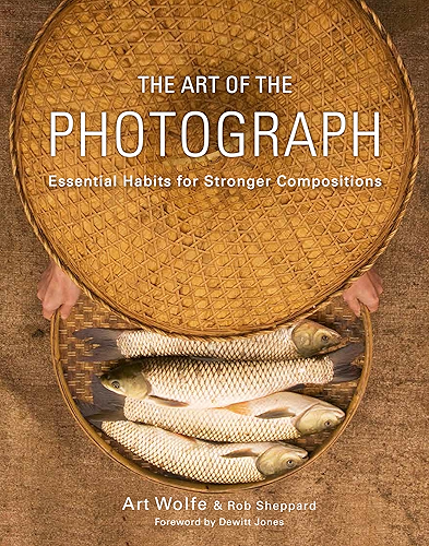 Download The Art of the Photograph: Essential Habits for Stronger Compositions (English Edition) PDF