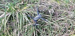 Review Image by Susan Hodges310 Susan Hodges310