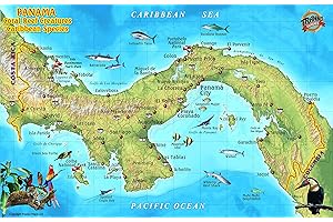 Panama Caribbean Coral Reef Creatures Guide Franko Maps Laminated Fish Card