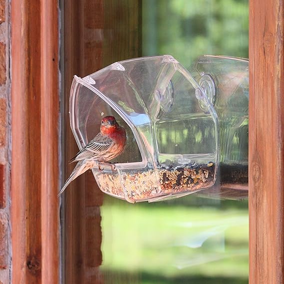 Amazon Com Birdscapes Clear Window Feeder 348 Wild Bird Feeder