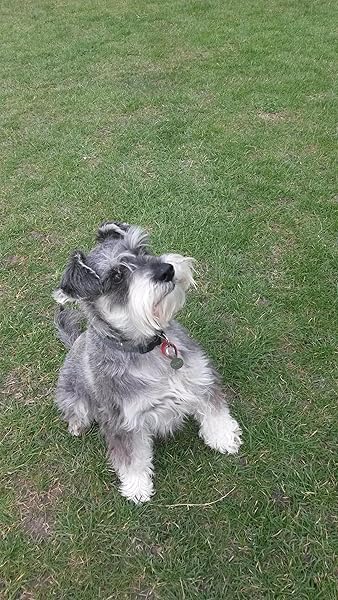 My Revision Notes Edexcel As A Level History Mao S China 1949 76 Amazon Co Uk Flint Andrew 9781471876400 Books