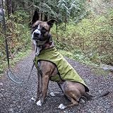Mile High Life Dog Raincoat Adjustable Waterproof Lightweight Reflective Lime view 9