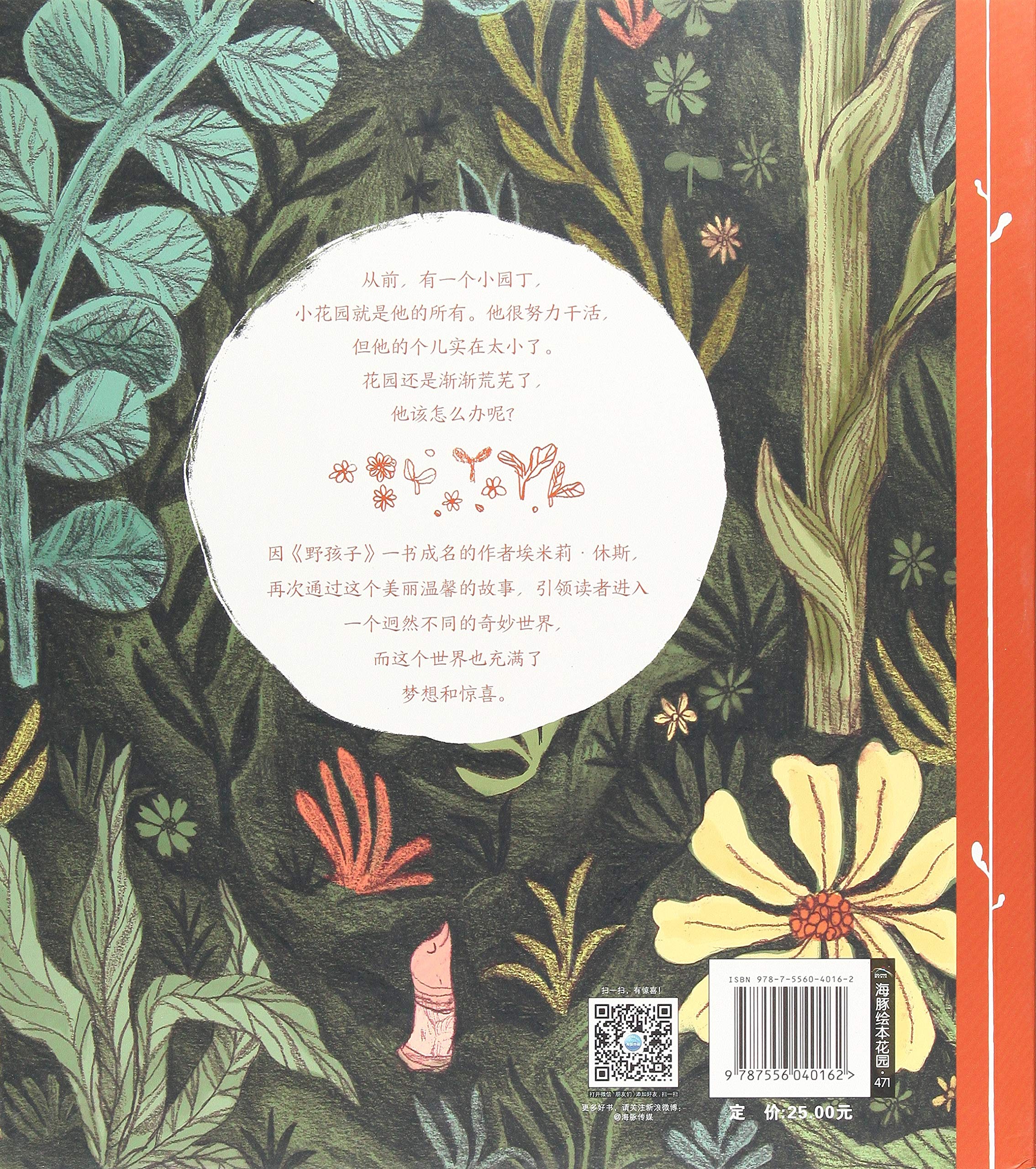 小园丁 埃米莉 休斯 Books Amazon Com