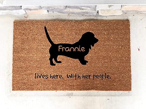 Pet Supplies Placemats Pet Mat Decorative Dog Bowl Mat