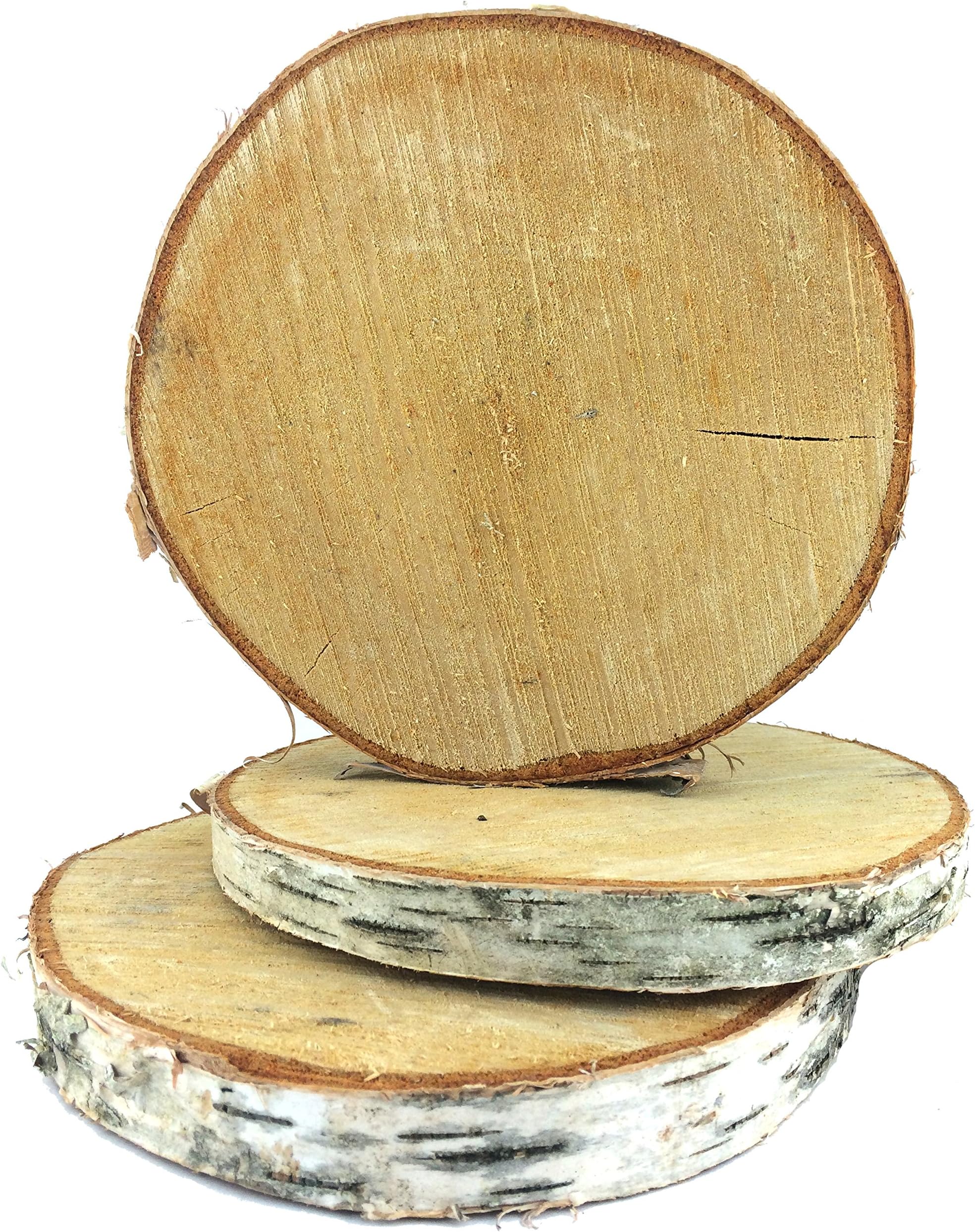 Birch Tree Slice 8"